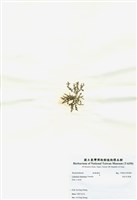 藏品(岡村凹頂藻)的圖片